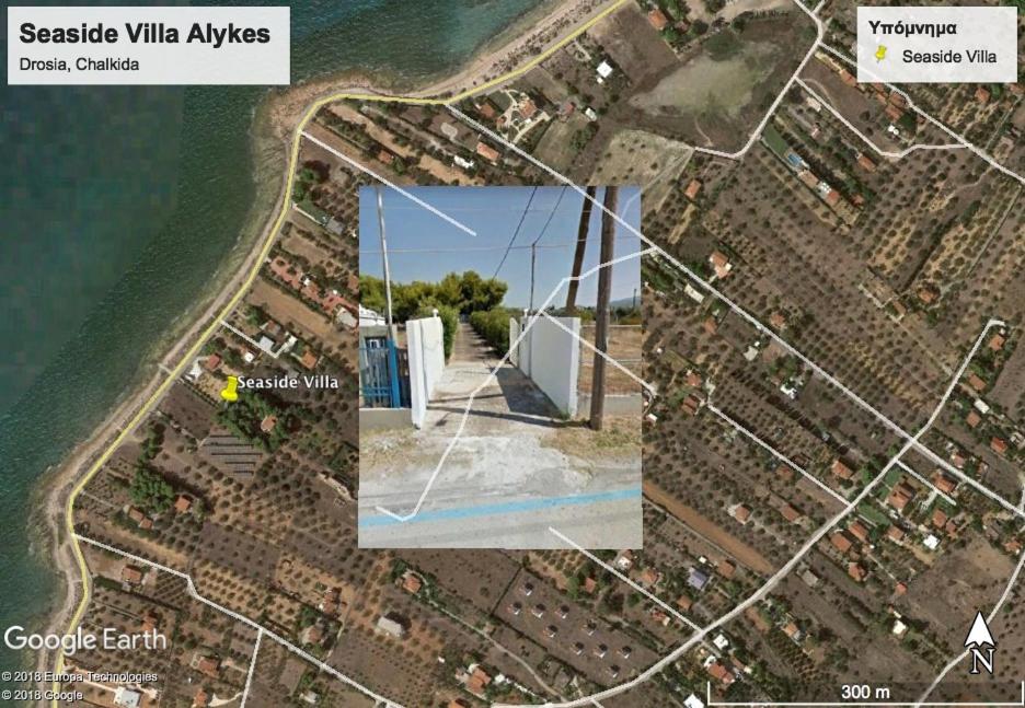 Seaside Villa in Alikes, Chalkida - Housity