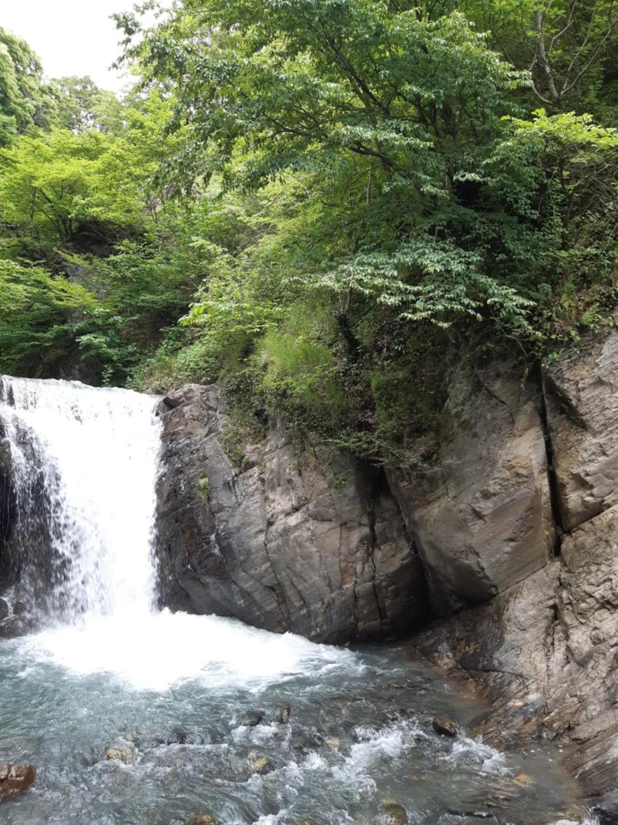 Guest House Gzirishvili - Housity