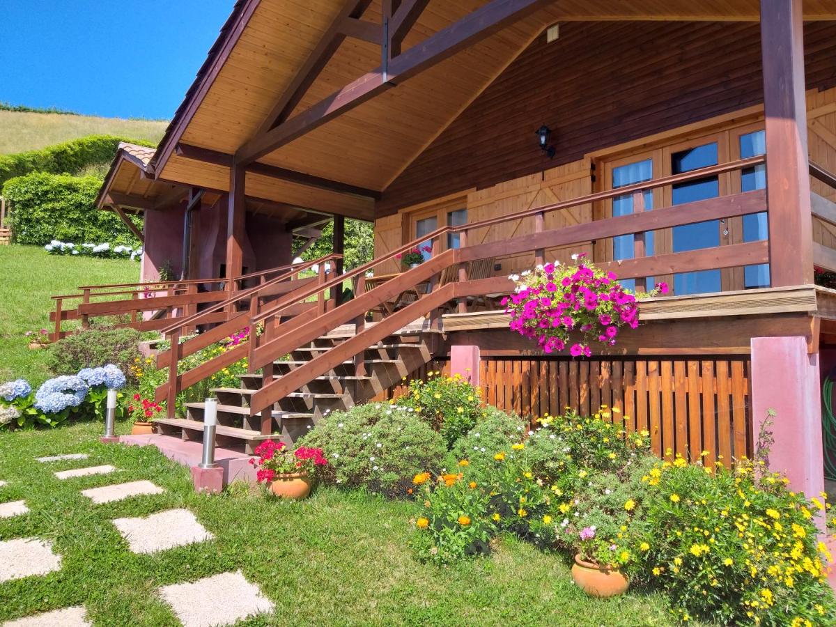 Quinta da Pavoa - Cottage House - Housity
