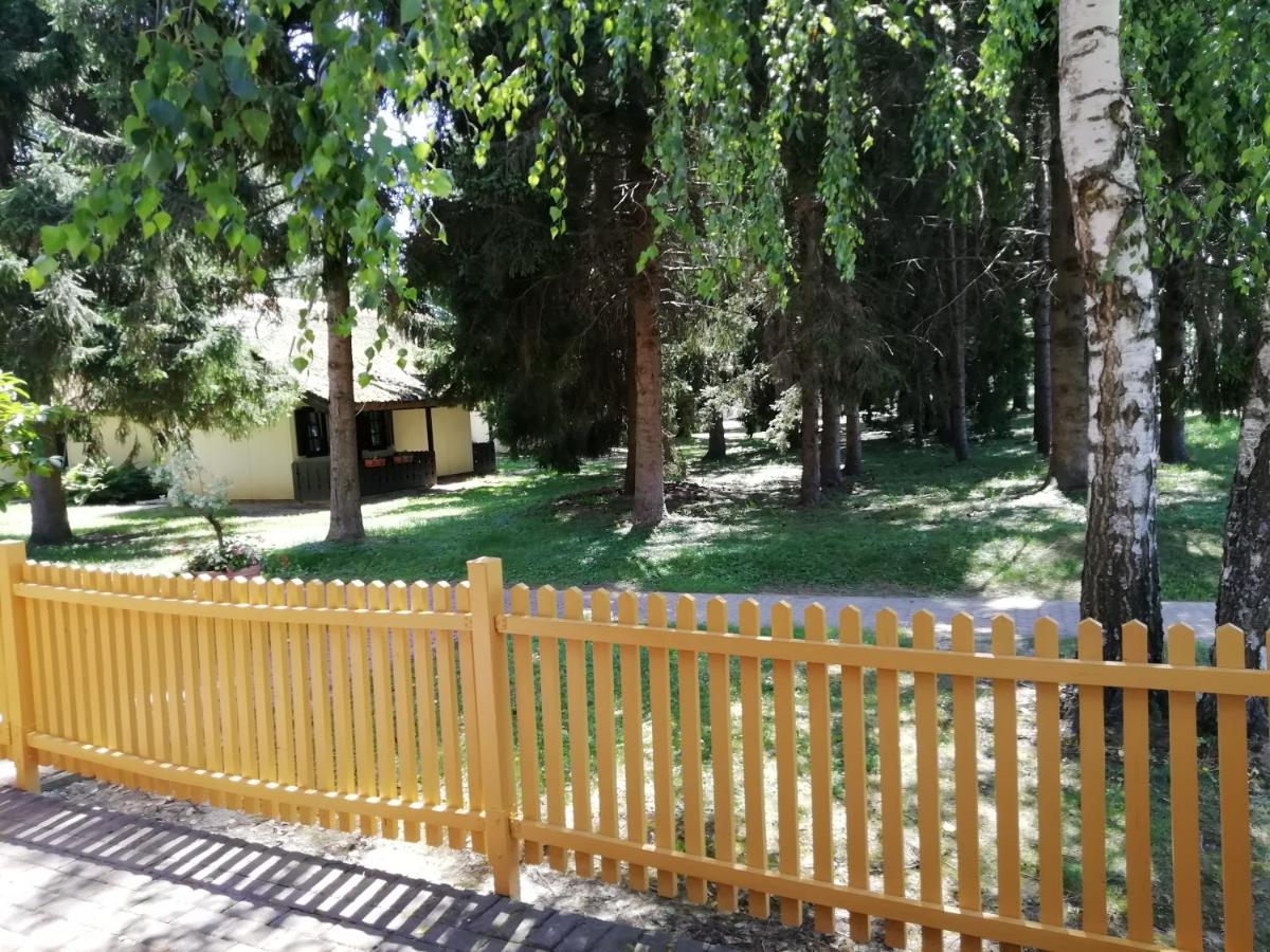 Apartma C-06, C-11 - Housity