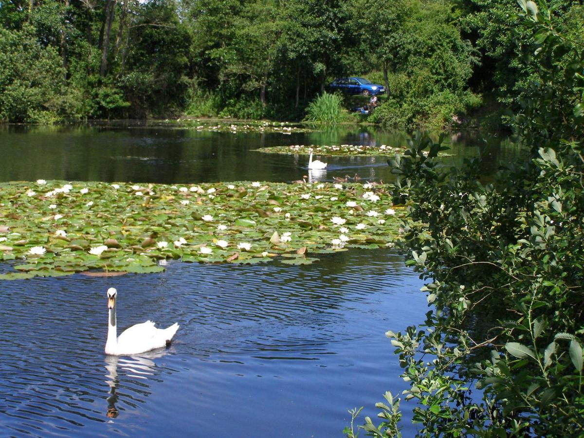 Stone House Farm (Adults Only) - Housity