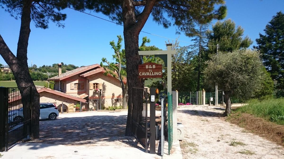 B&B Il Cavallino - Housity