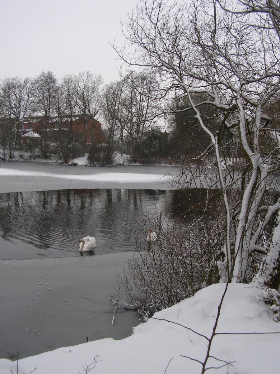 Stone House Farm (Adults Only) - Housity