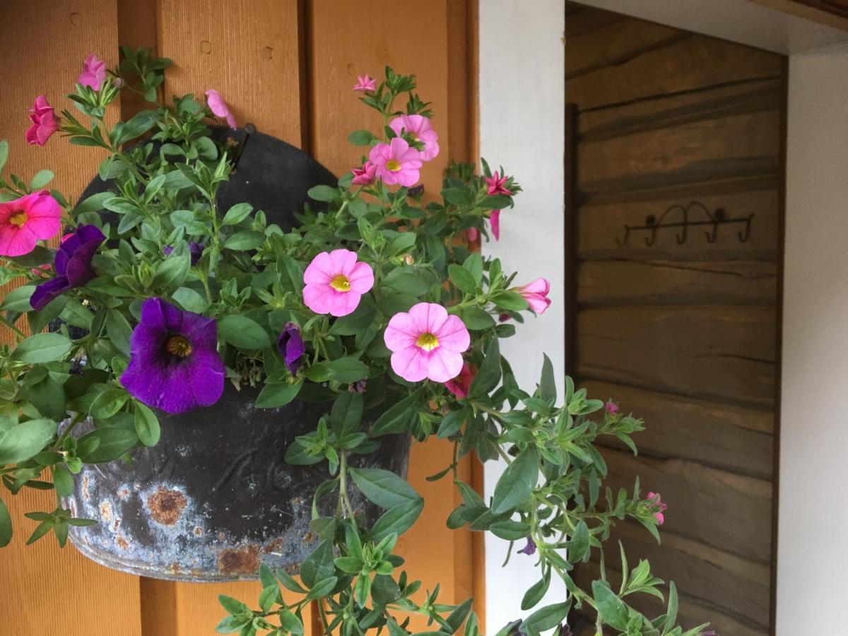 Bakarstuo, Utpå Neset - Housity