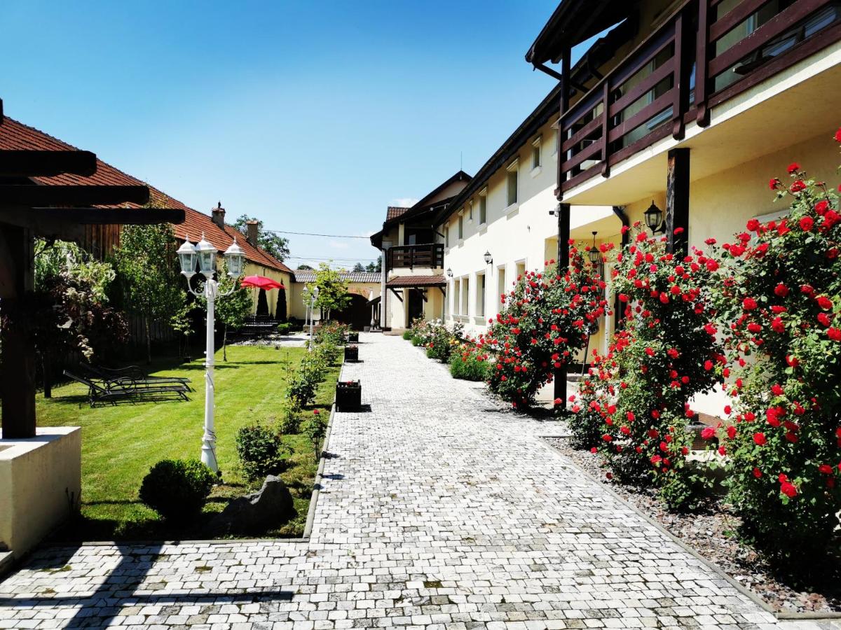 Pensiunea Casa Moga - Housity