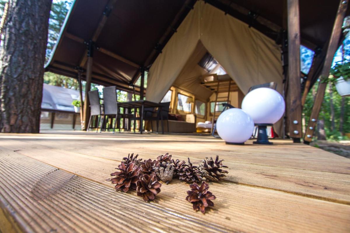 Shishkinn Resort&Spa - Housity