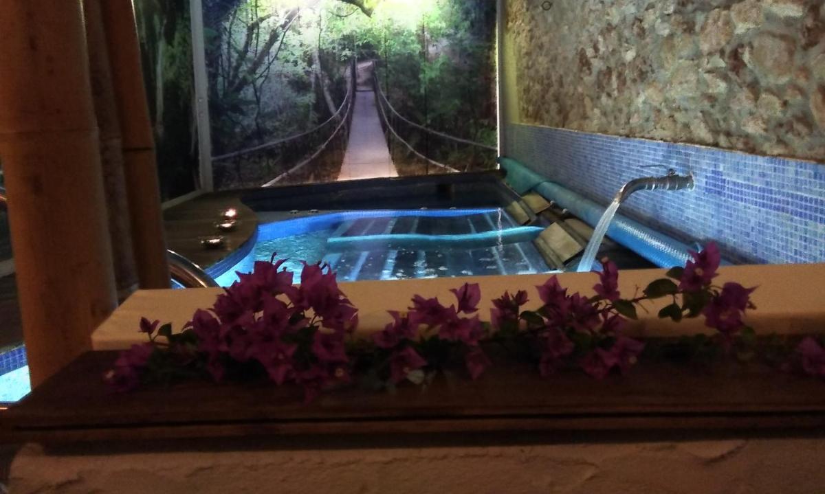 Piscina en o cerca de Les Vinyes Alojamiento Rural Boutique & SPA