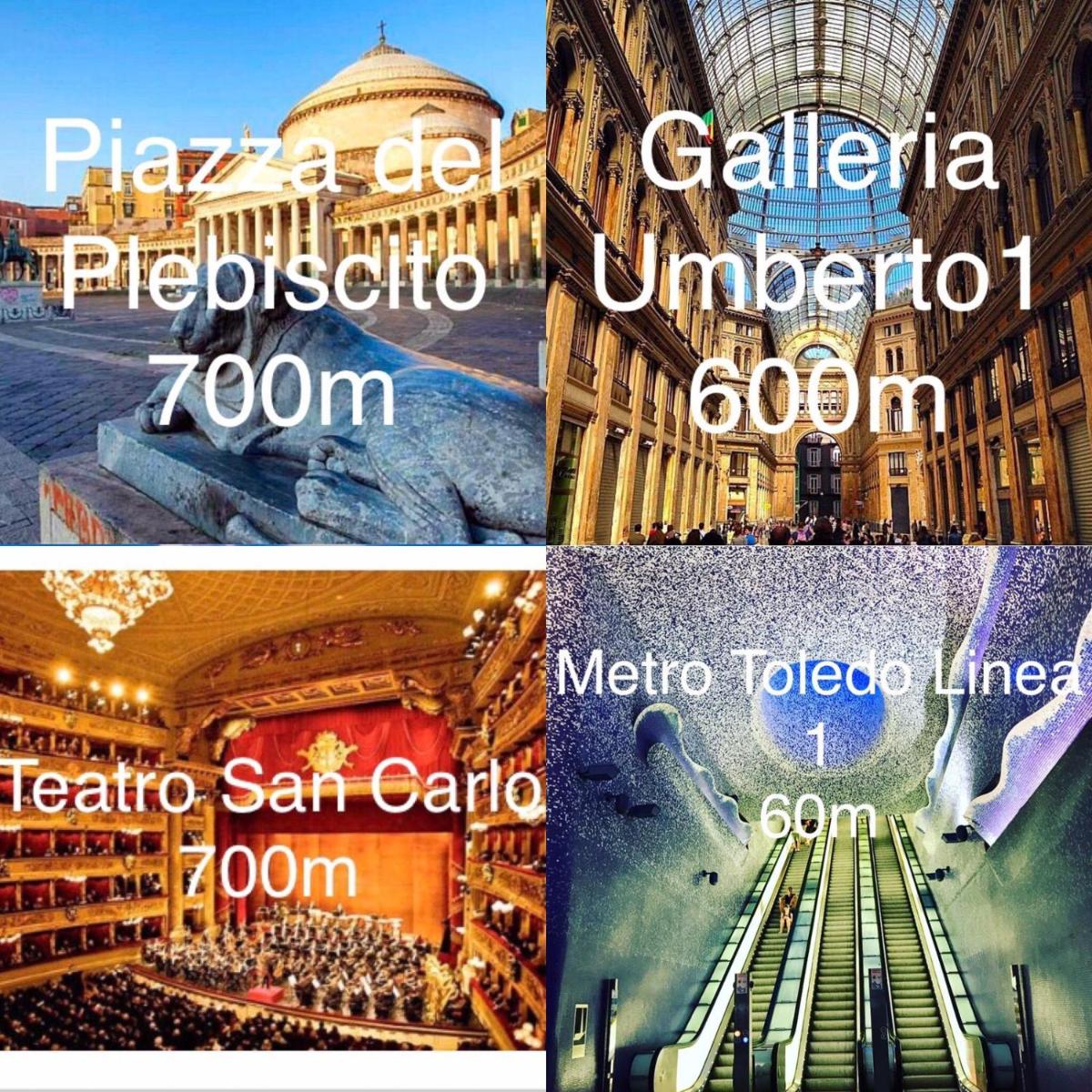 Toledo Suite - Housity