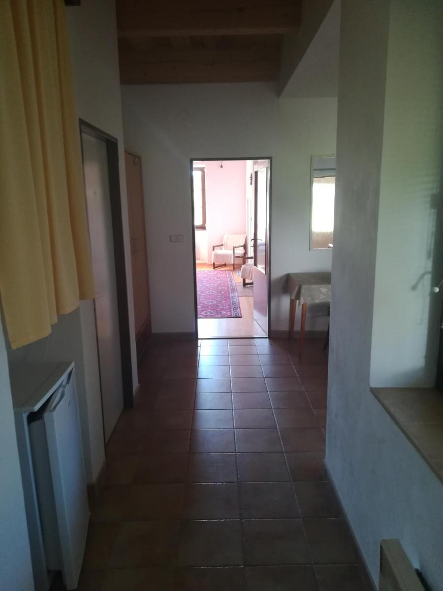 Usedlost pod javorem - Housity