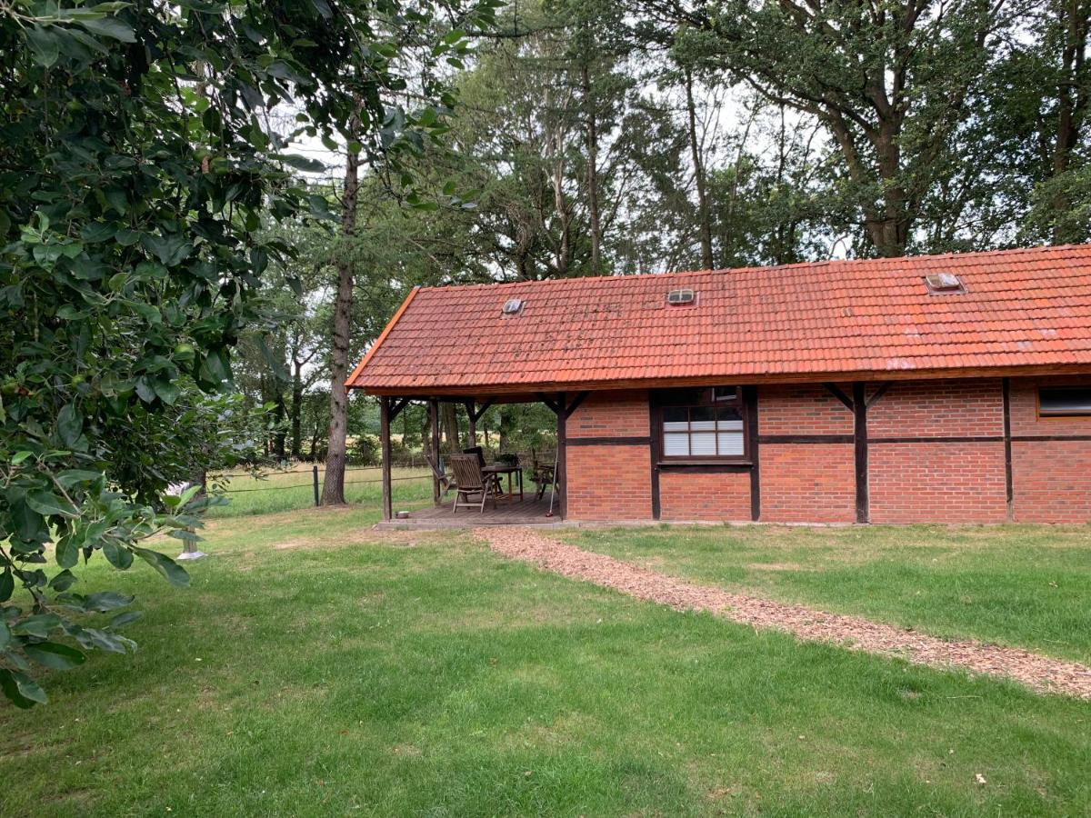 Ferienhaus am Wäldchen - Housity