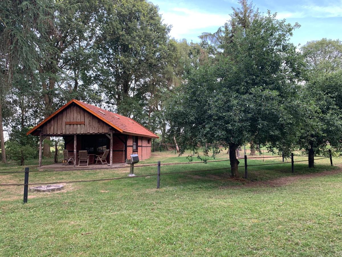 Ferienhaus am Wäldchen - Housity
