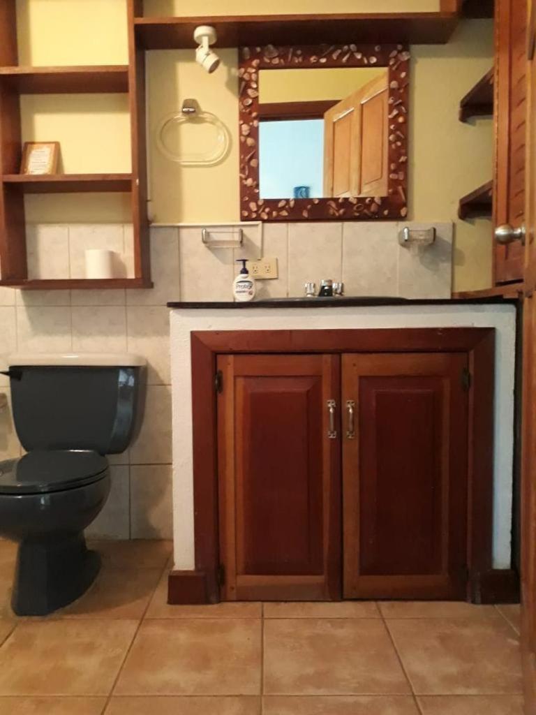 Massai Apartments - Housity
