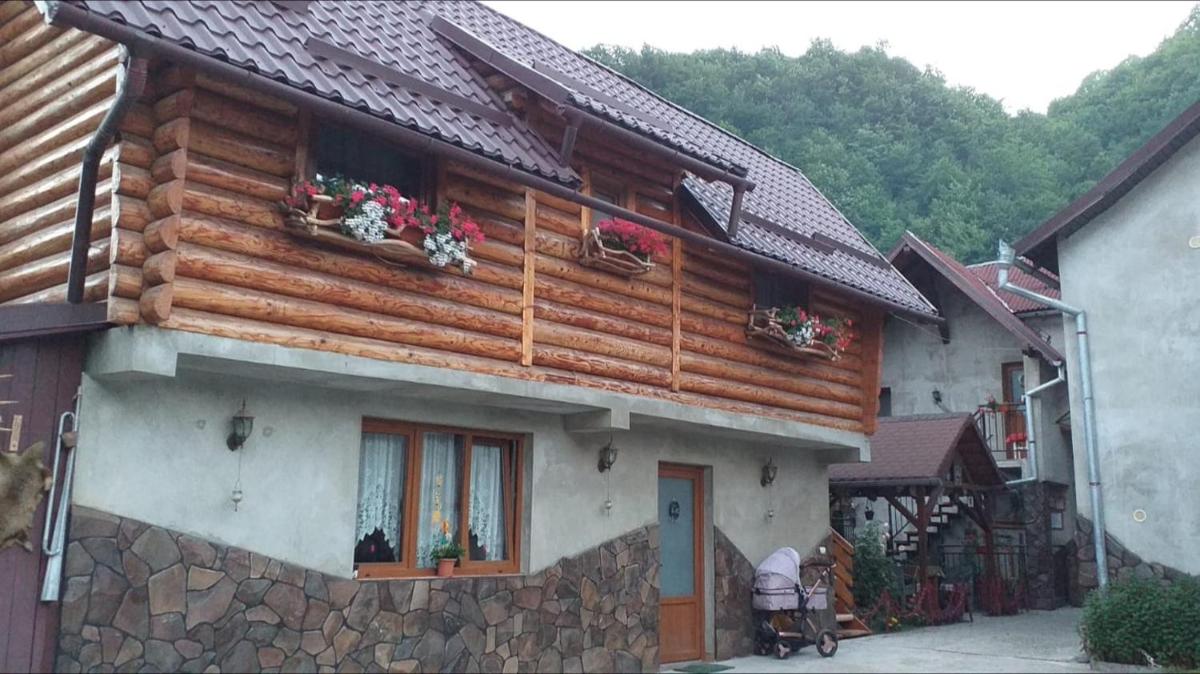 Pensiunea Anita - Housity