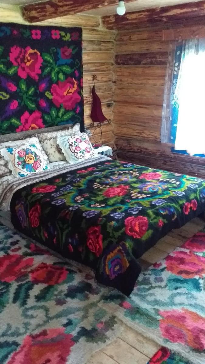 Pensiunea Anita - Housity