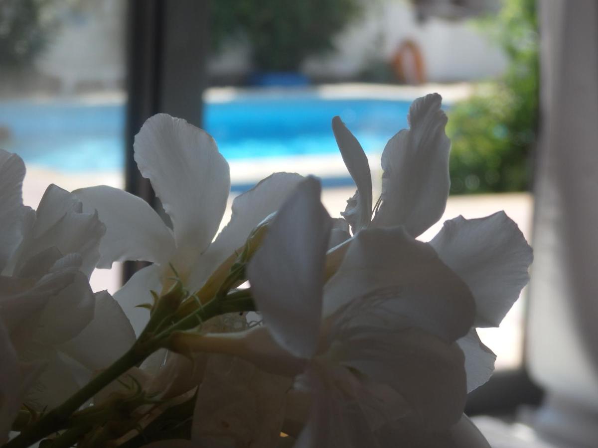George apartments - Housity