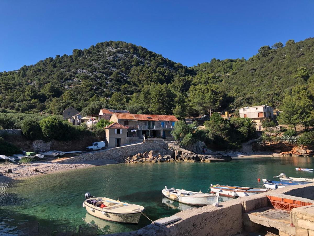 The White house robinson Gdinj Hvar - Housity