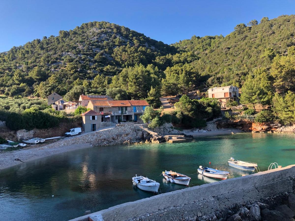 The White house robinson Gdinj Hvar - Housity