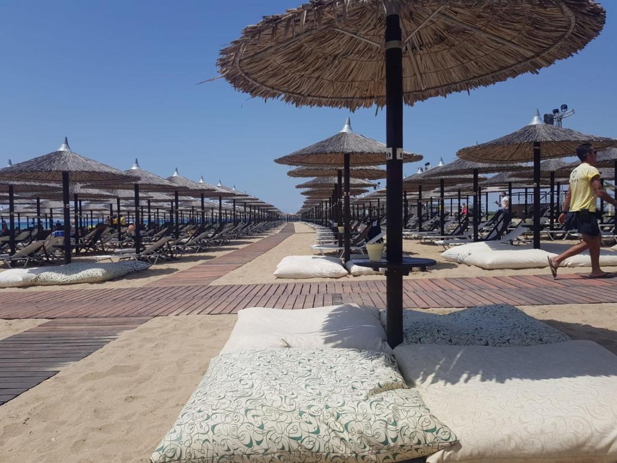 Best summer vacation - Housity