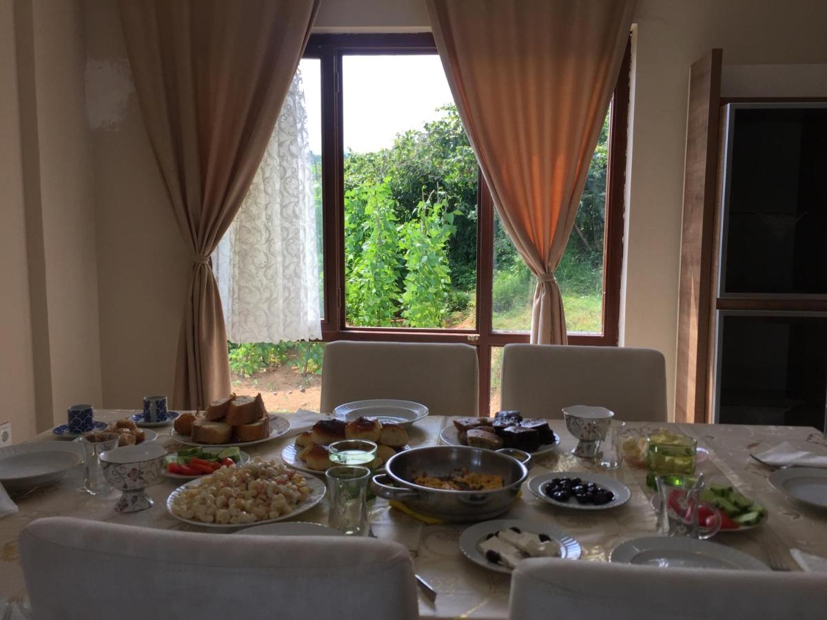 Berat House - Housity
