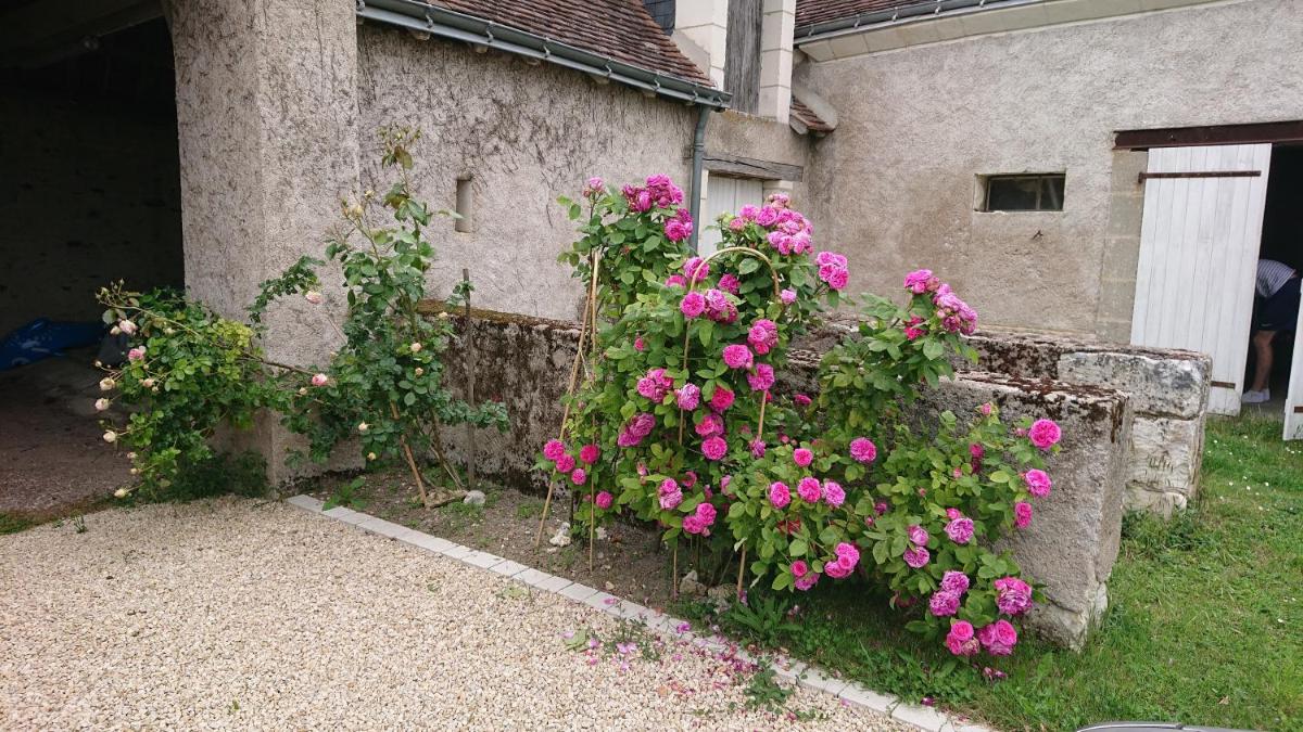 Longère du sud Touraine au Coeur du Val de Loire - Housity