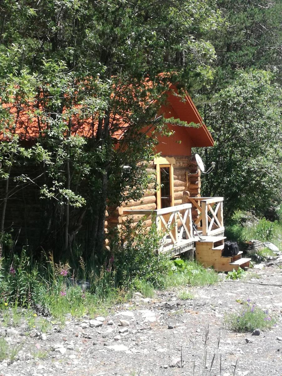 Forest House - Housity