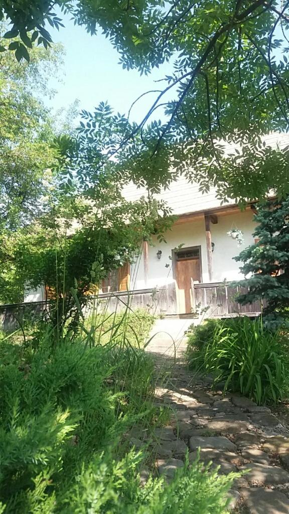 Pintea Cottage - Bucovina - Housity