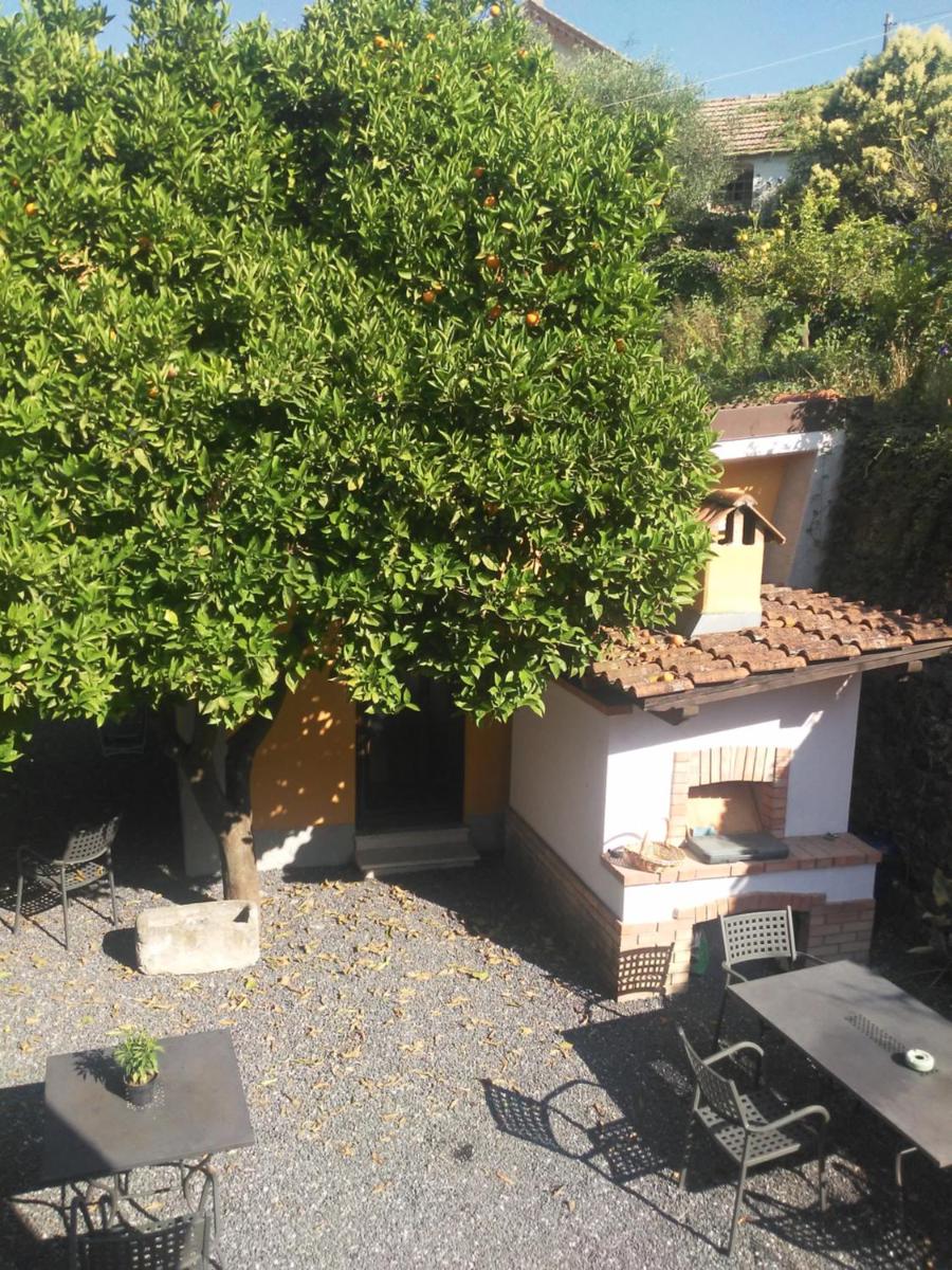 Agriturismo Ardissone Thomas - Housity