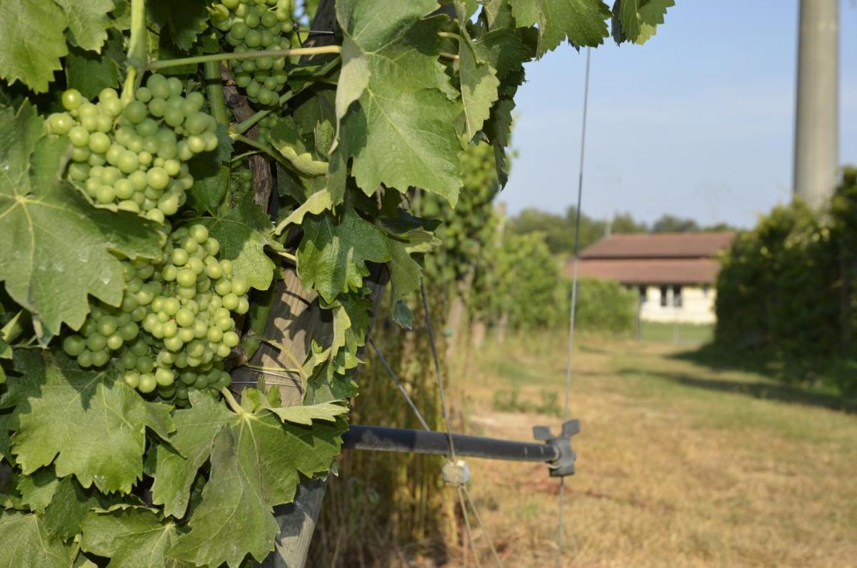 Agriturismo Corte Ambrosio - Housity
