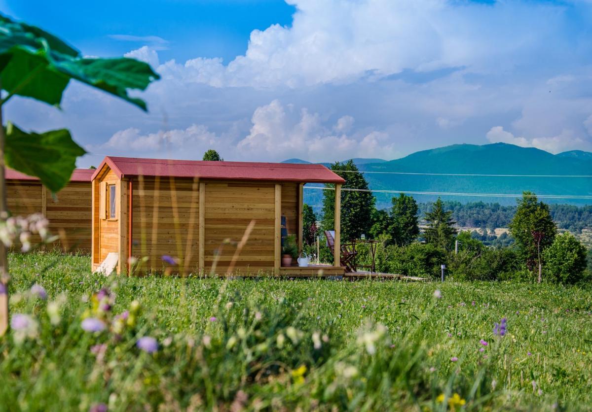 Camp The sunrise hill - Housity