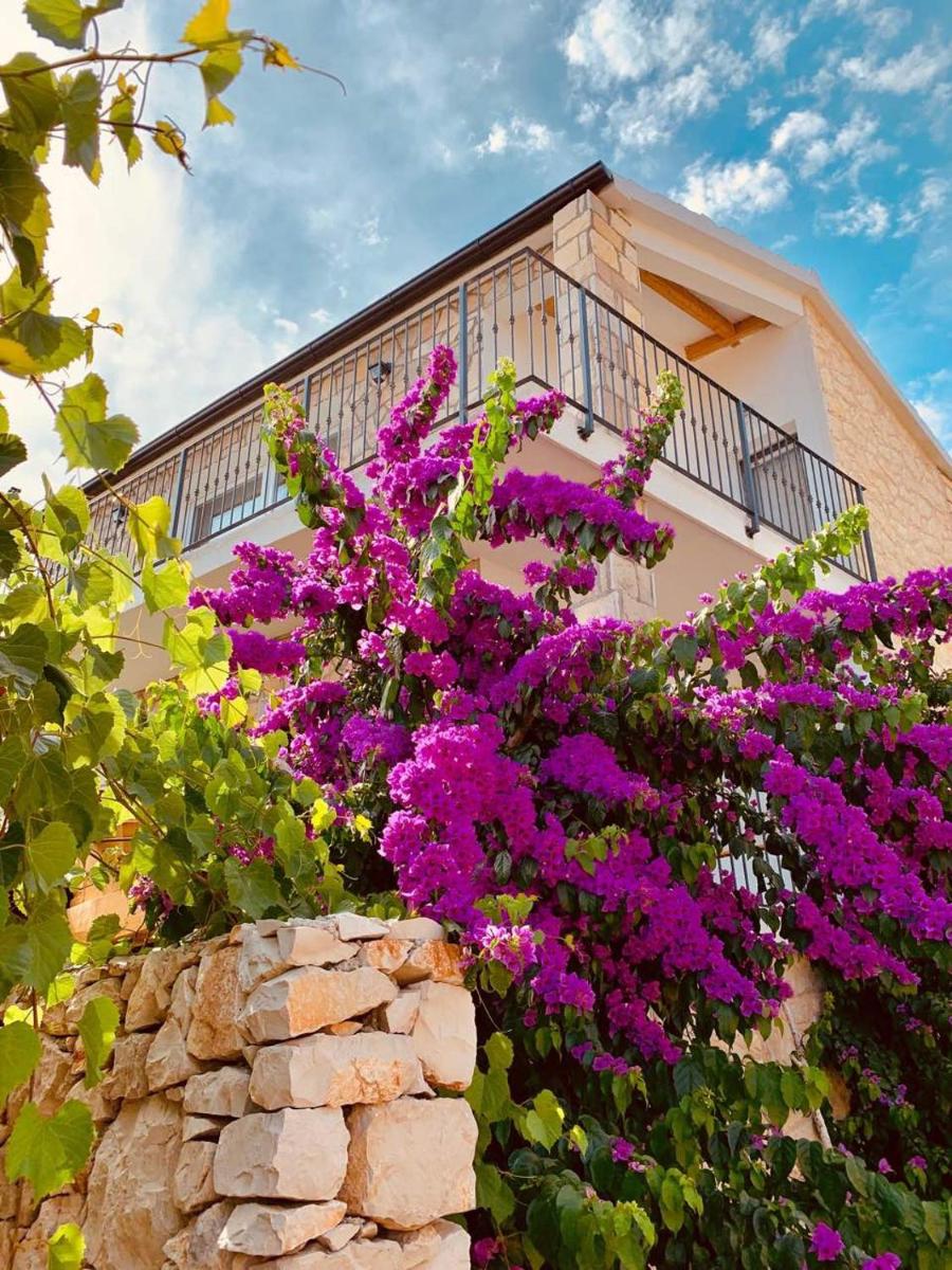 Summer house Villa Margarita - Housity