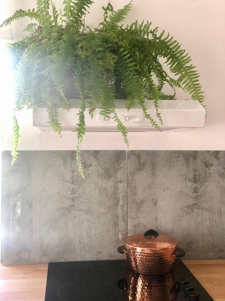 Suitetrails - Into The Green Apartment
