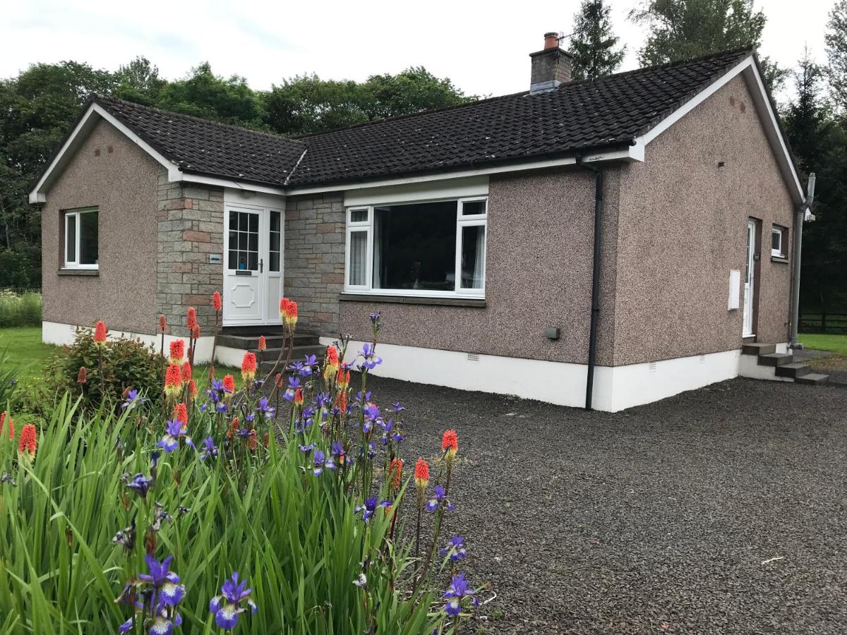 Clover Holidays - Cliff View - Housity