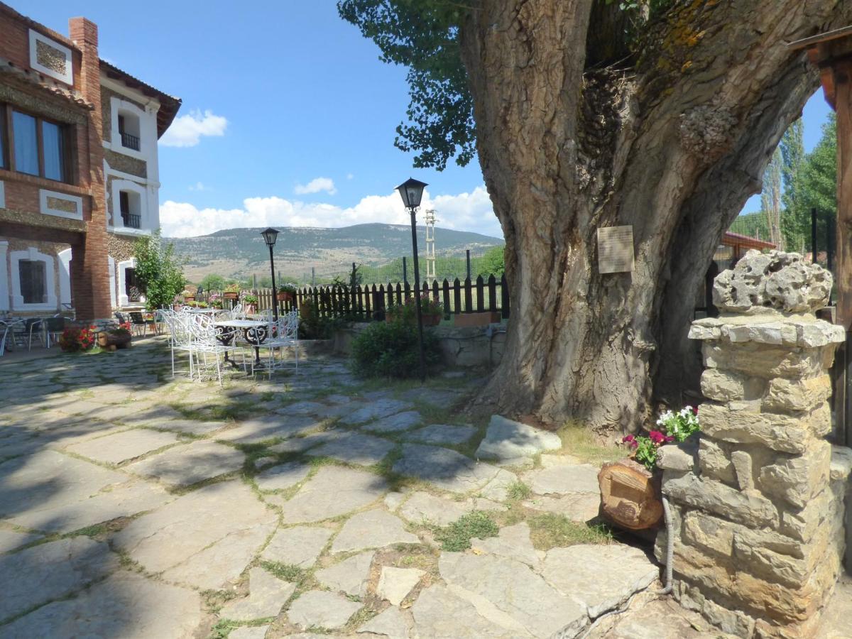 Suitetrails - Hotel La Vega