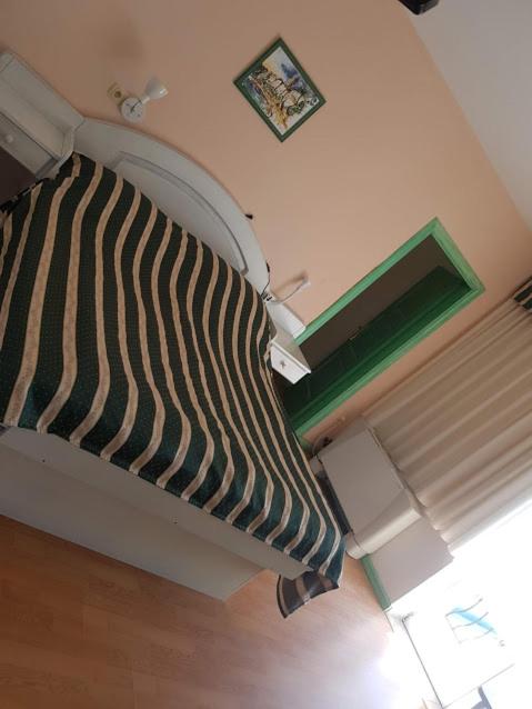 Pansion Dragica - Housity