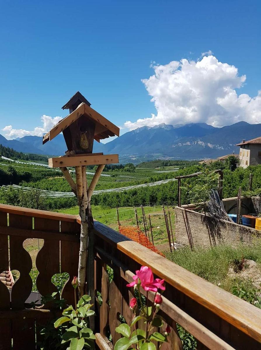 Agritur Coryletum - Housity