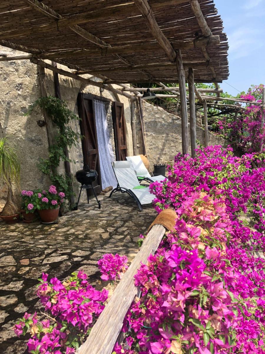 House Minuta 5 Amalfi Coast with pool - Housity