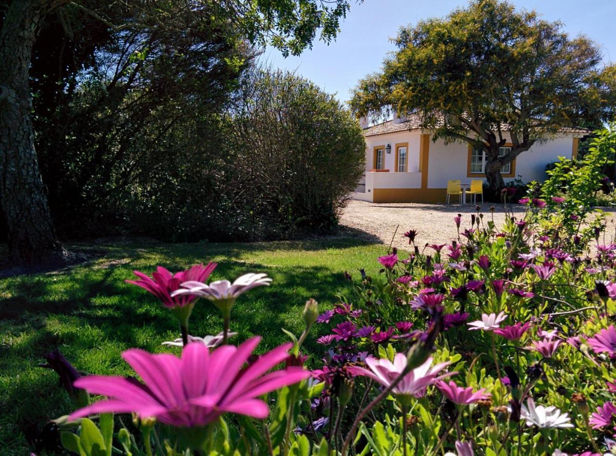 Casas das Amoreiras - Housity