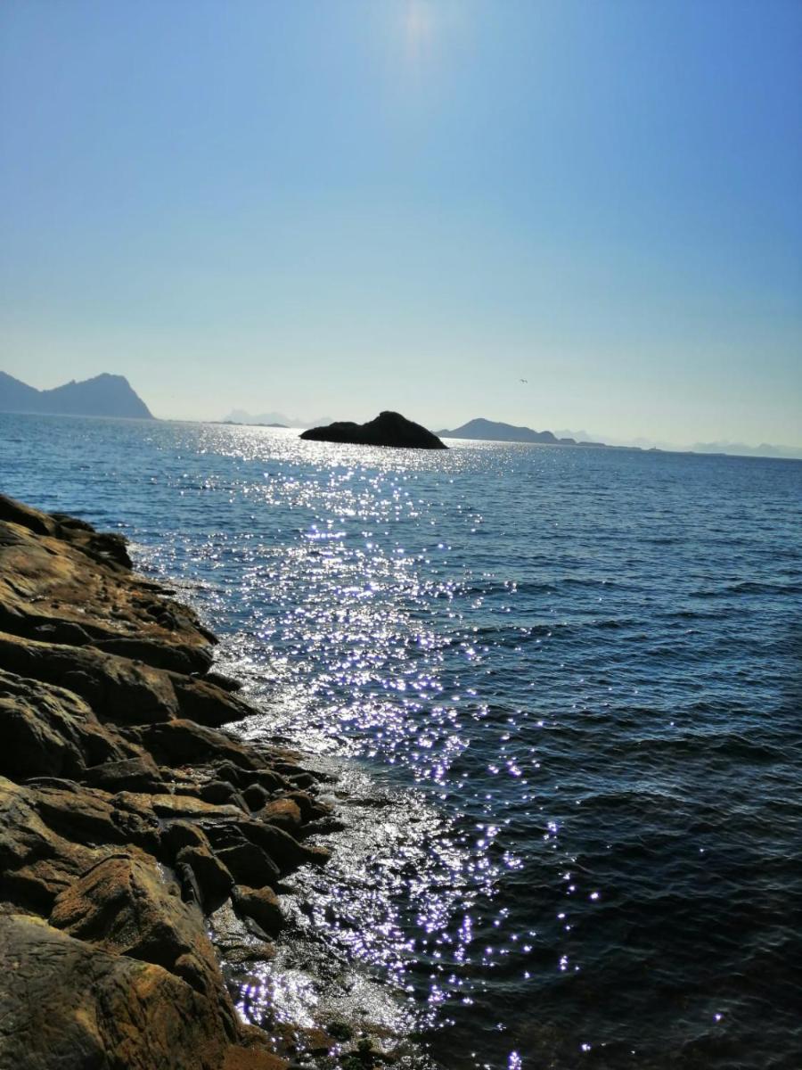 Holiday house in Lofoten - Housity