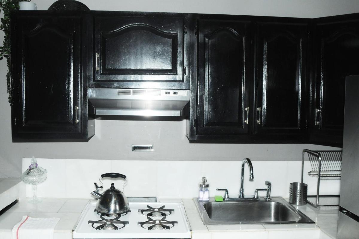 Plush Spacious 1 bedroom apt Williamsburg - Housity