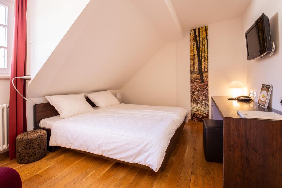 Traube Blansingen - Housity