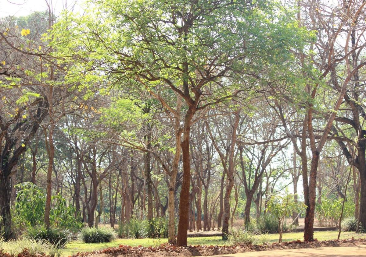 Barefoot Lodge and Safaris - Malawi - Housity