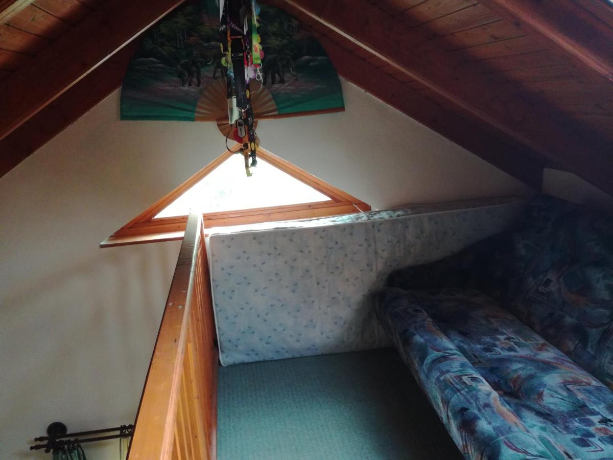 Plajbi Apartment - Housity