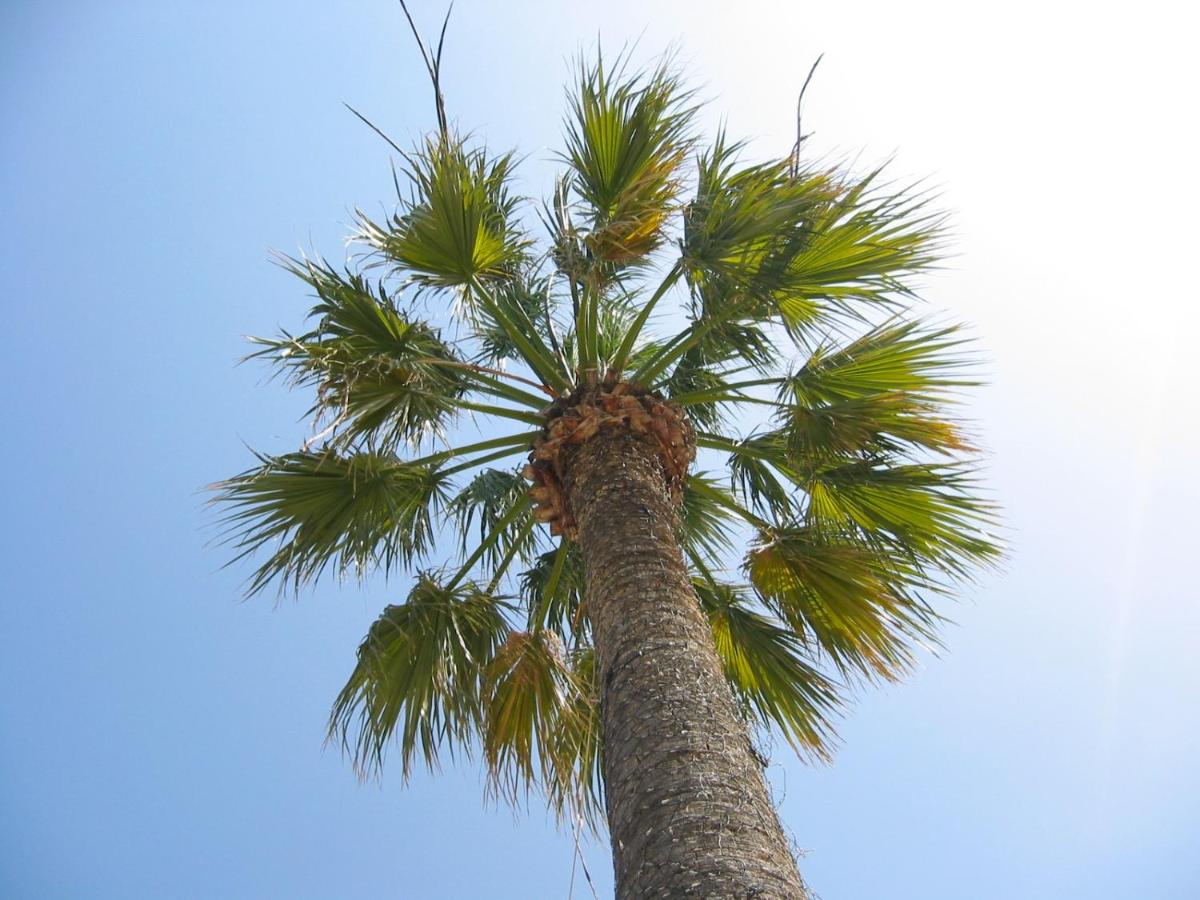 Holiday House Heraklion - Housity
