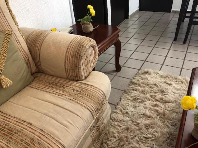 Elena's Aparment - Housity