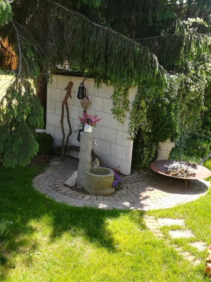 Angel's Nest Apartment - Housity