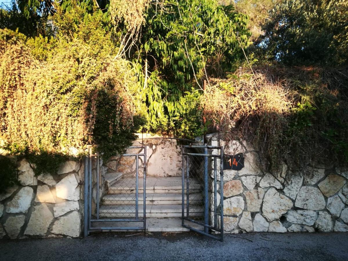 Yael's House of Freedom - Housity