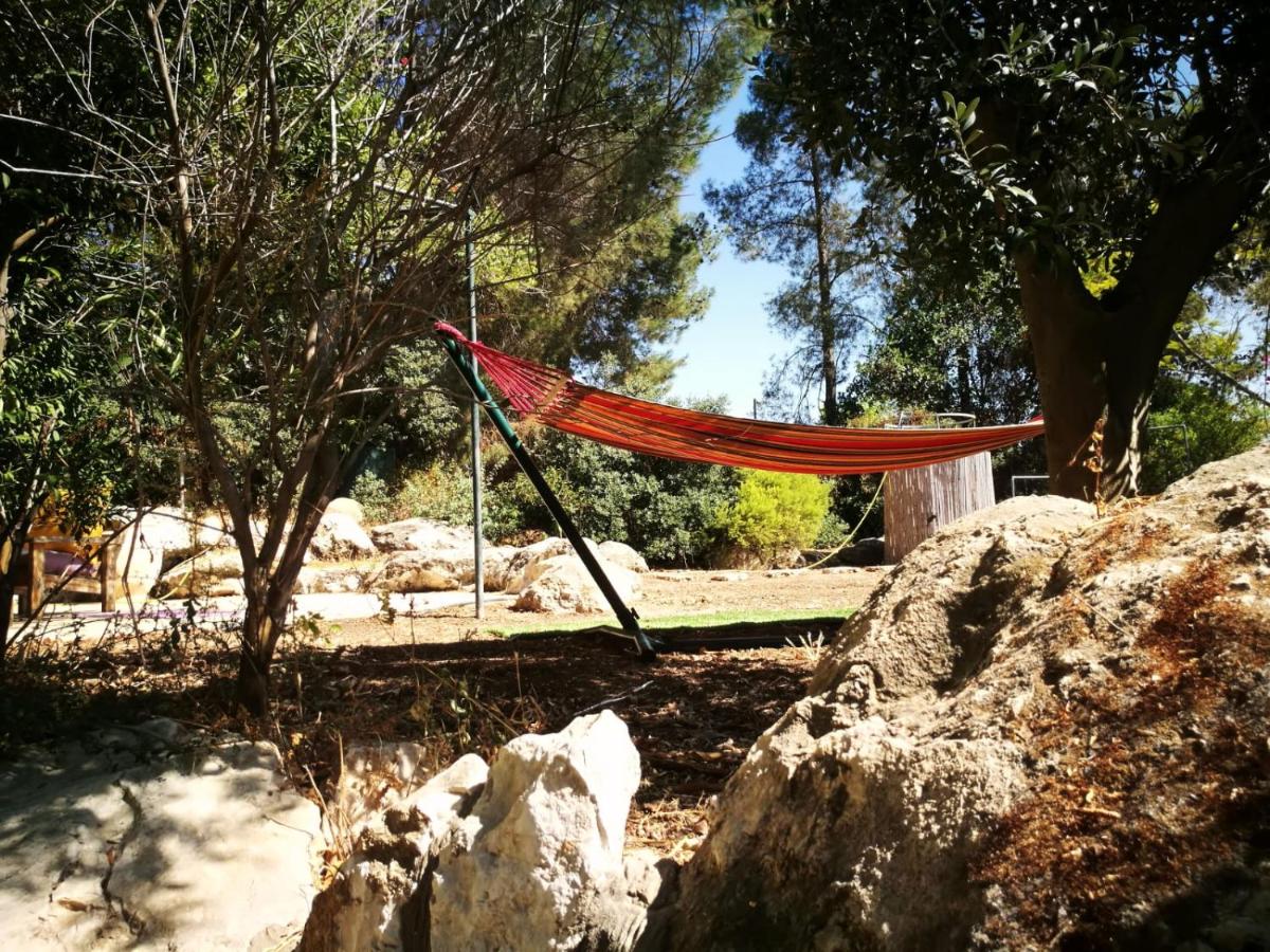 Yael's House of Freedom - Housity