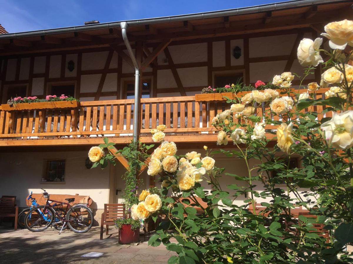Hofurlaub Rudolstadt - Saale - Housity