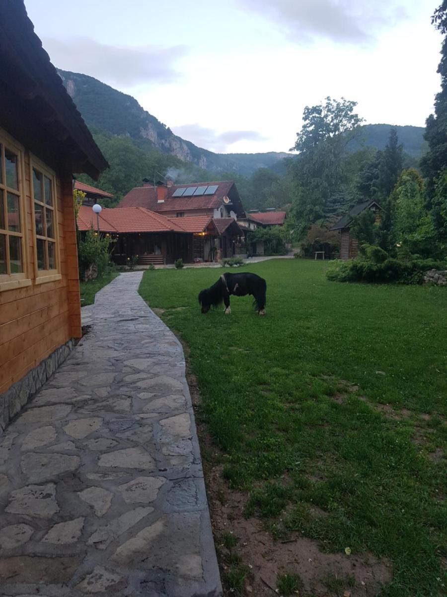 Vodopad Lisine - Housity