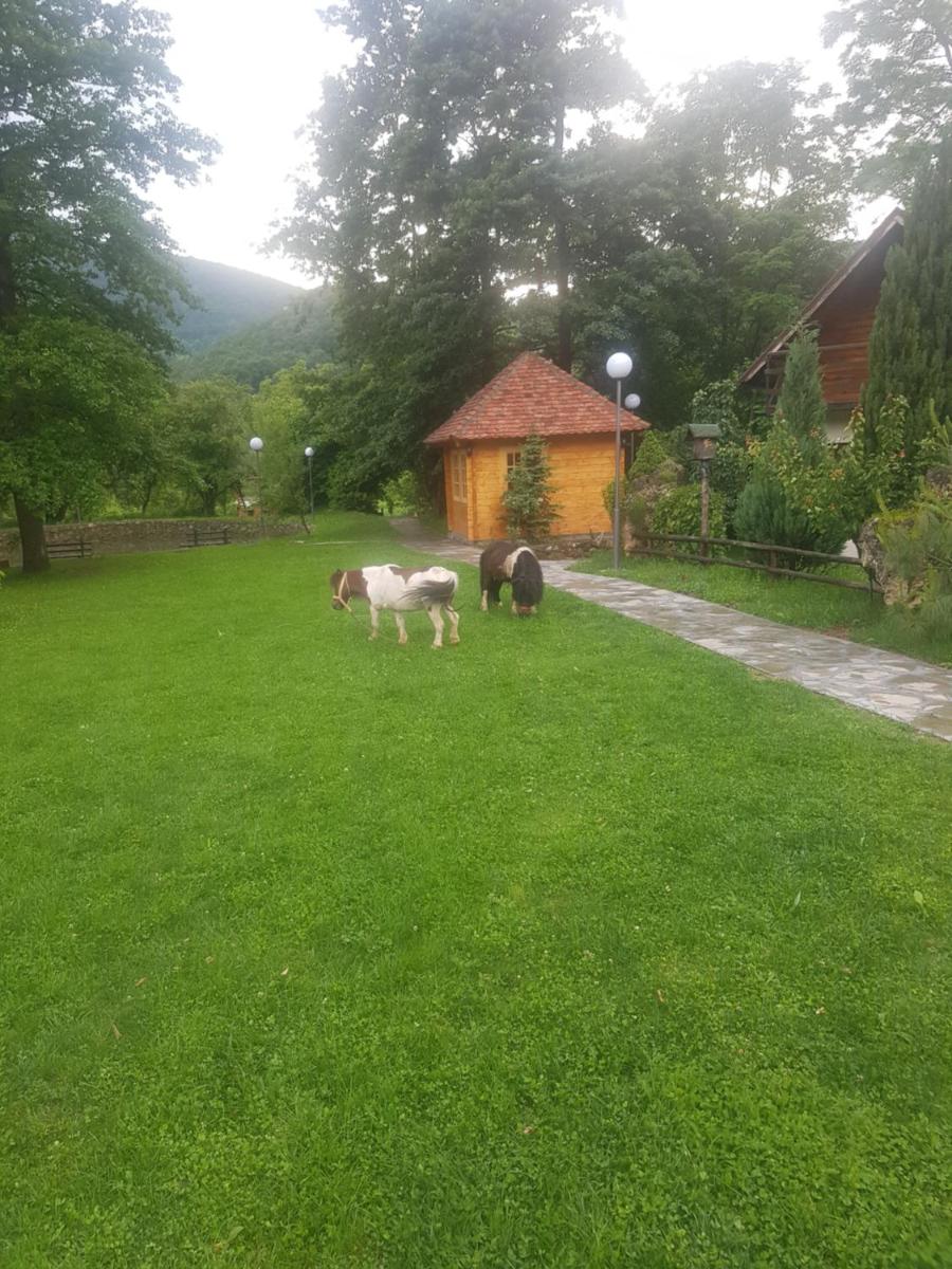 Vodopad Lisine - Housity